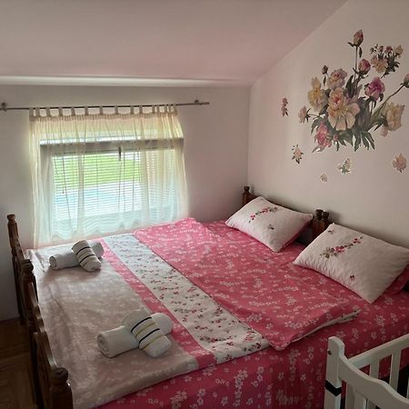 Elena Apartment Plužine Kültér fotó