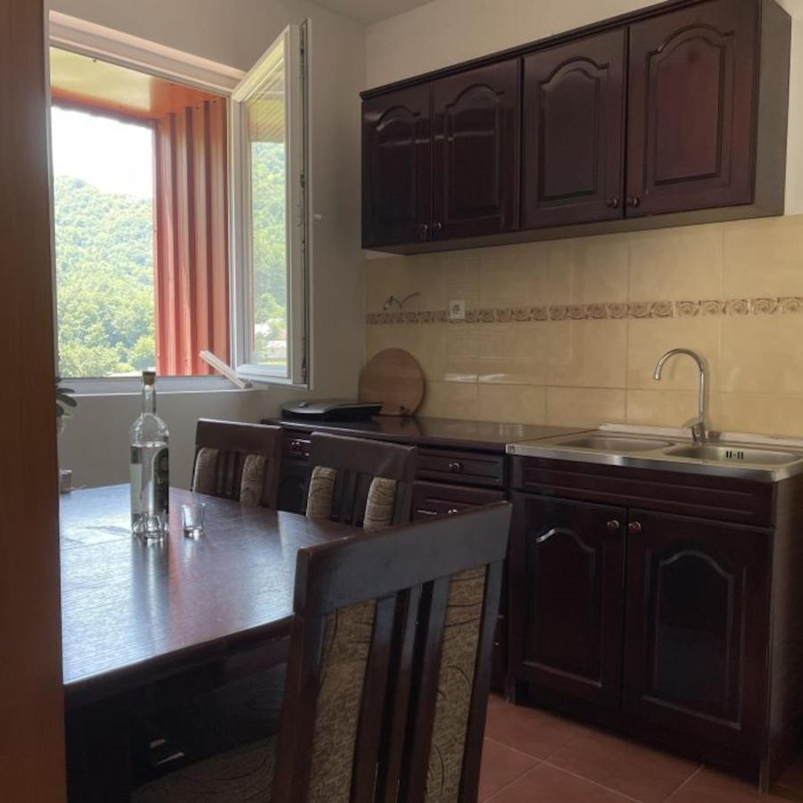 Elena Apartment Plužine Kültér fotó