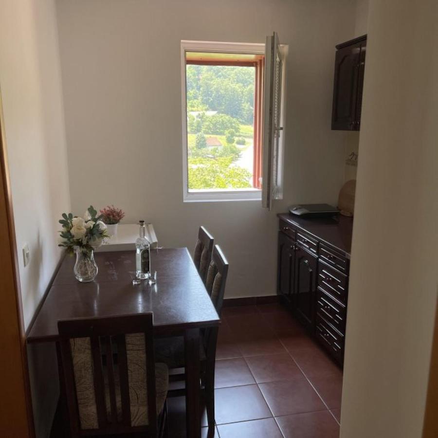 Elena Apartment Plužine Kültér fotó