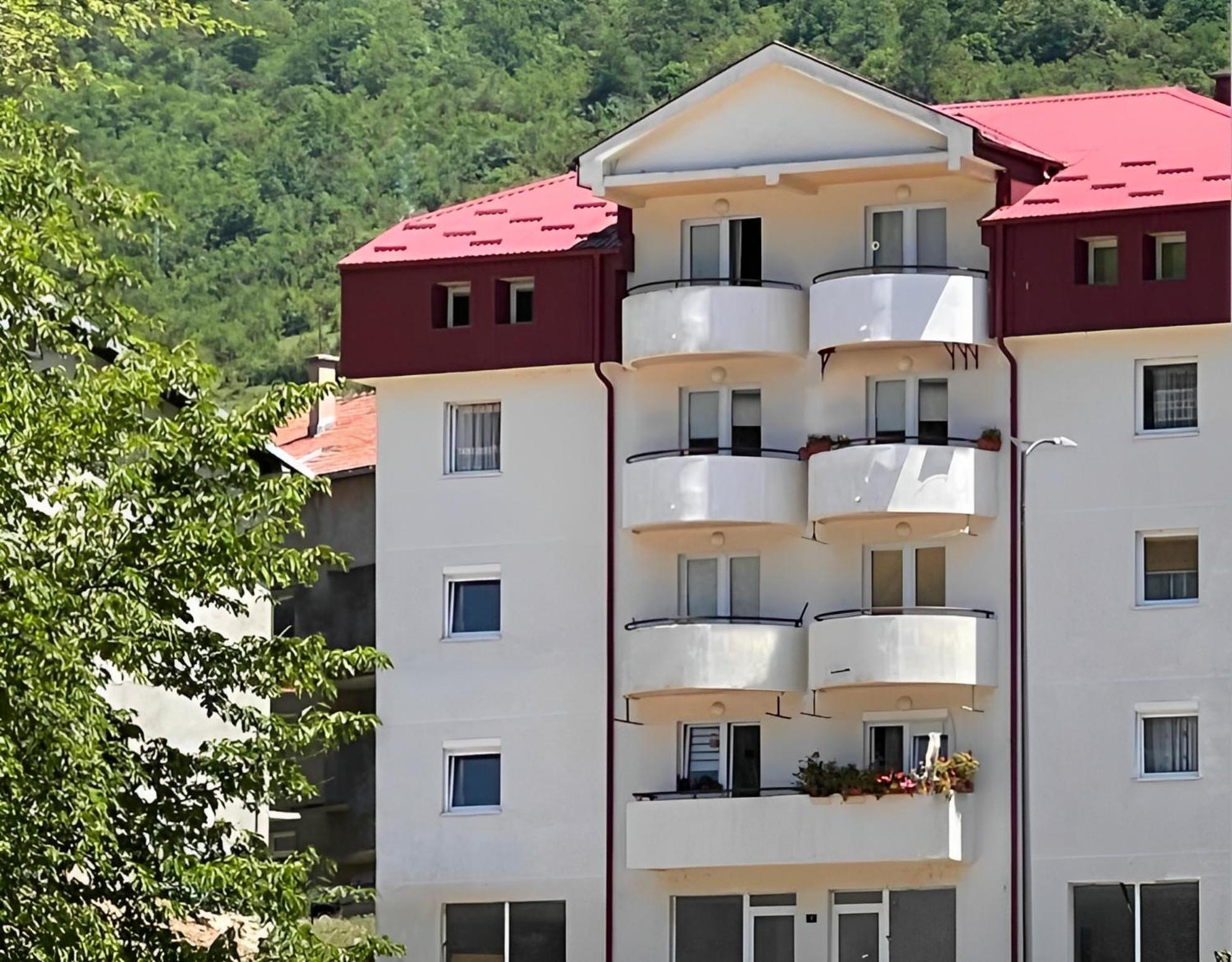 Elena Apartment Plužine Kültér fotó